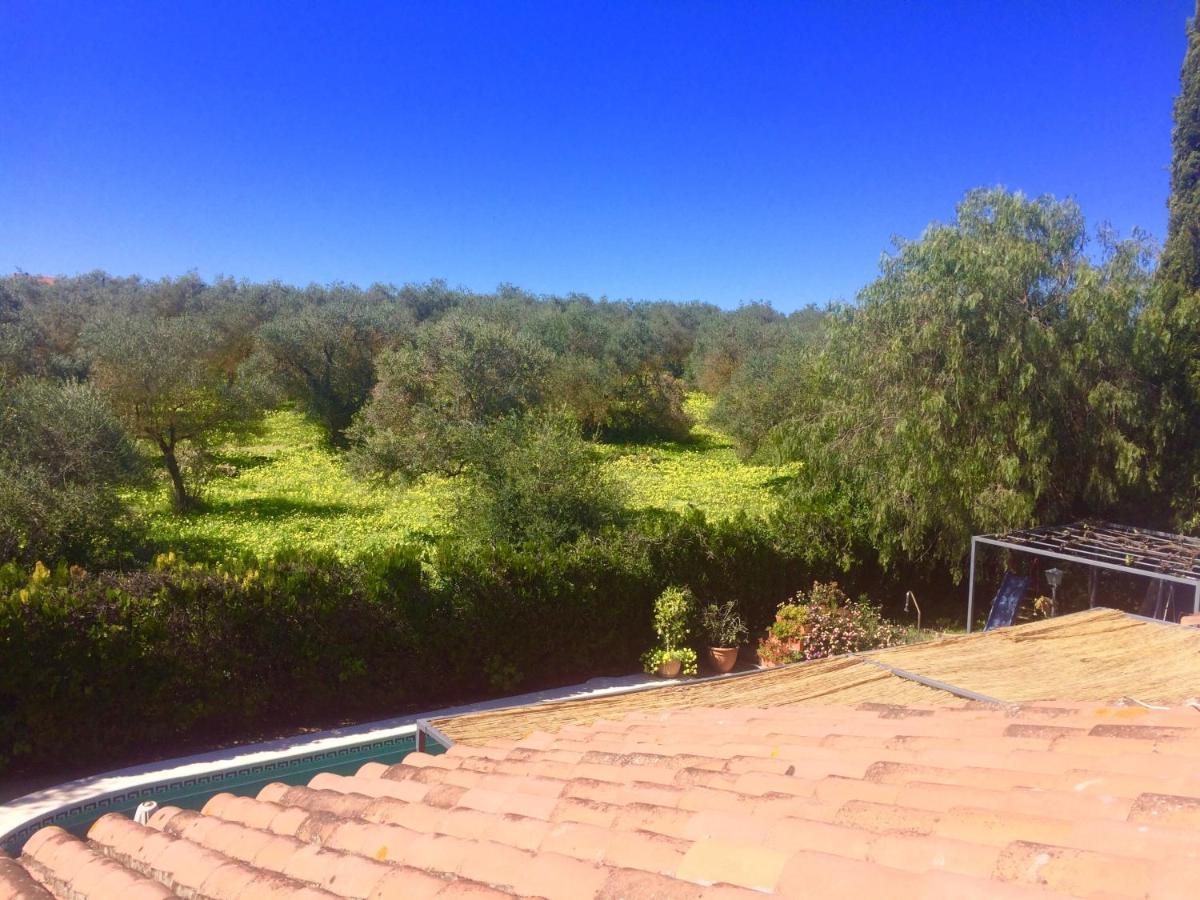 Villa Ferrer Sevilla Ginés Kültér fotó