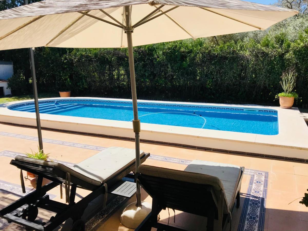 Villa Ferrer Sevilla Ginés Kültér fotó