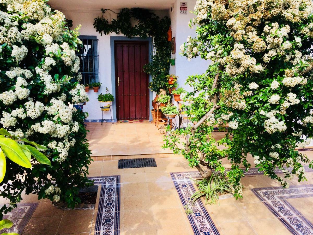 Villa Ferrer Sevilla Ginés Kültér fotó