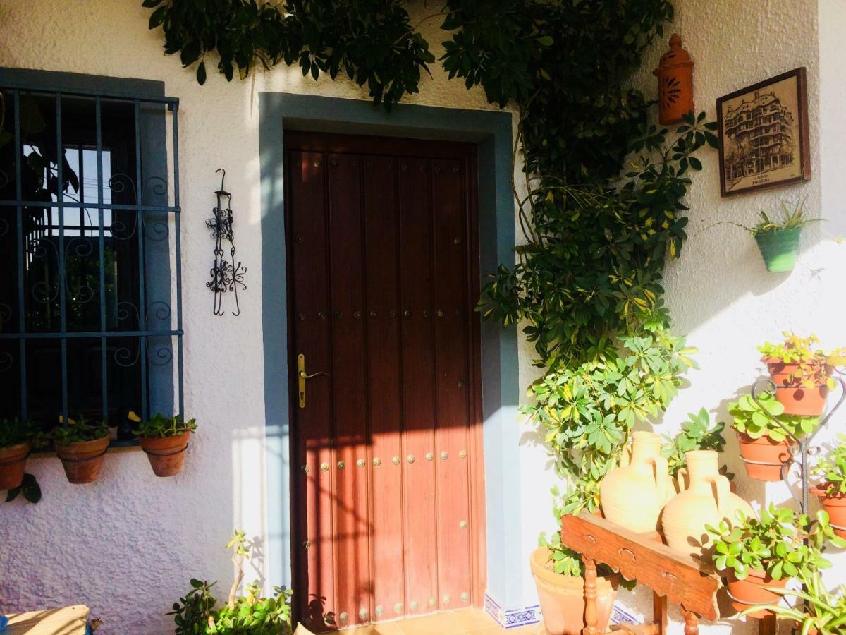 Villa Ferrer Sevilla Ginés Kültér fotó